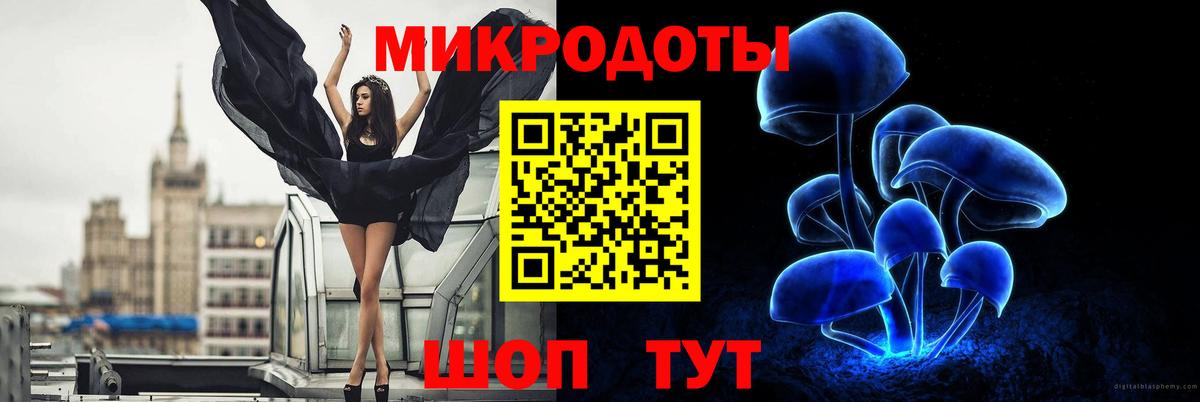 хочу   Вход с VPN  Электрогорск  Галлюциногенные грибы MAGIC MUSHROOMS 